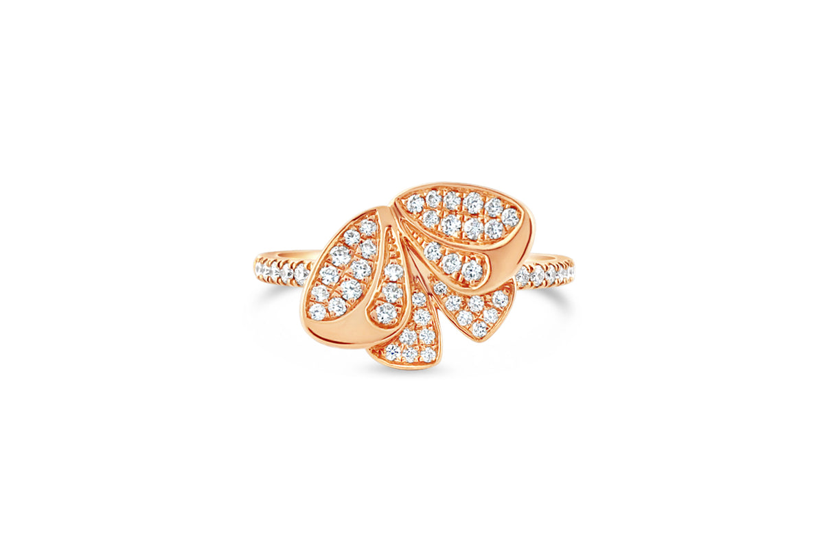 Bari Rind Rings – Mesouri